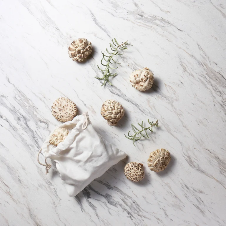 菇神頂級天白原木菇，台中新社珍稀嚴選菇類食材