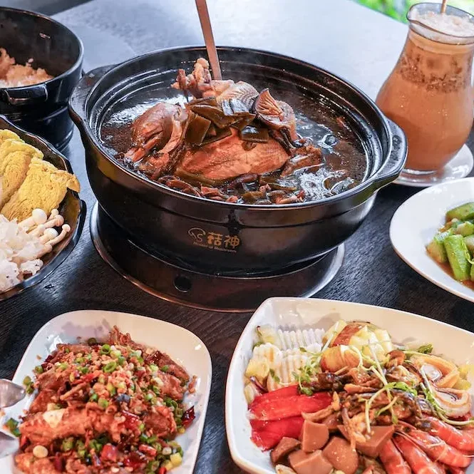 菇神部落客推薦-ivy