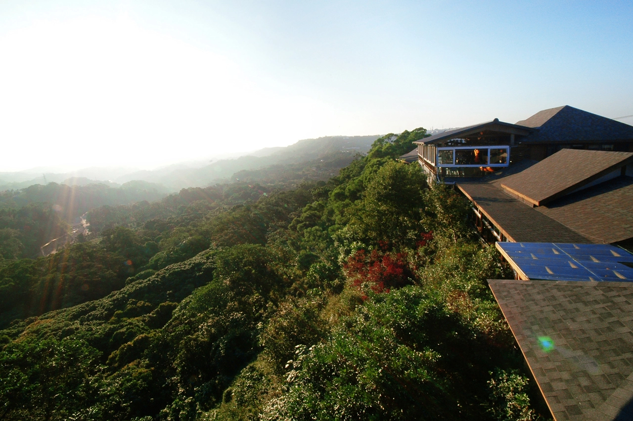 菇神遠眺滿谷綠意