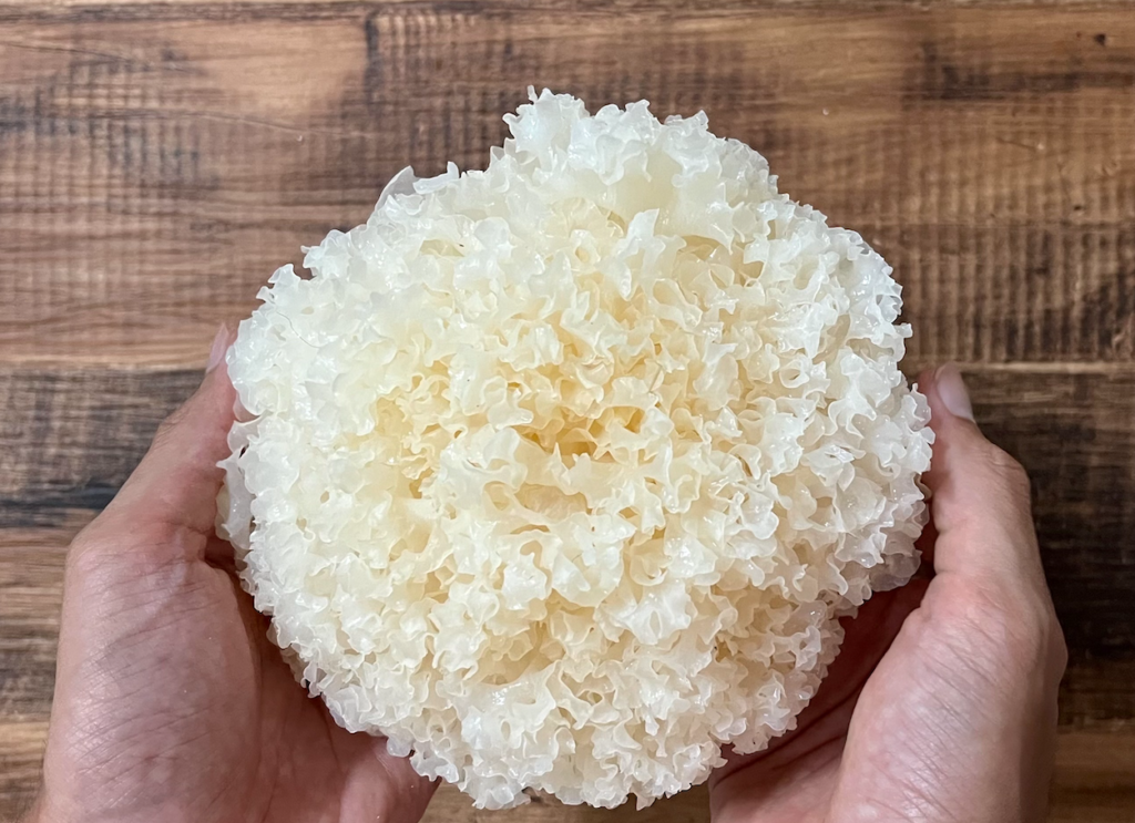 新鮮白木耳